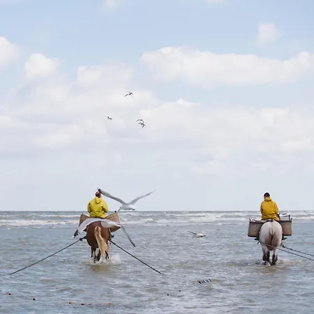 In Near Beach, Cleaning Included