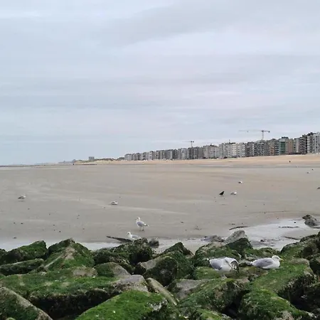 In Near Beach, Cleaning Included Koksijde